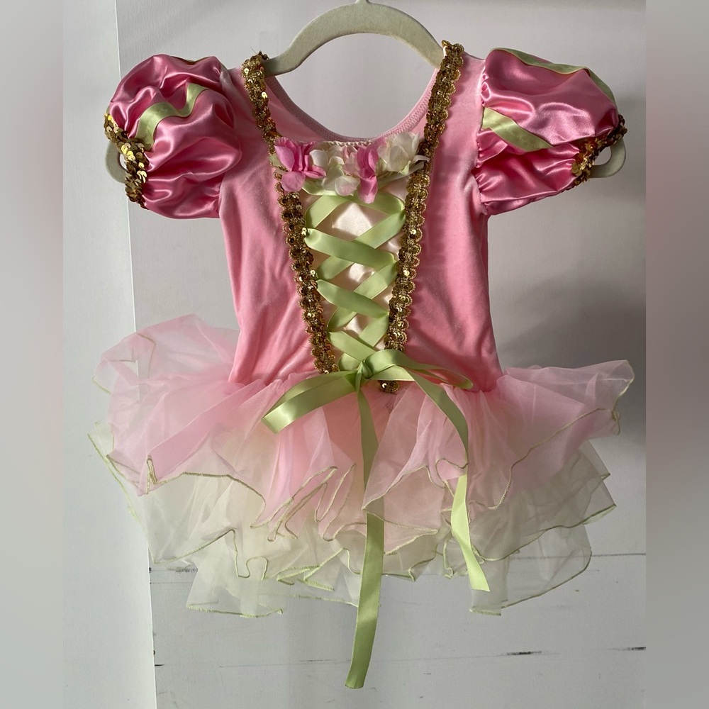 Wish Come True Oh What Wonders Dance Costume Village Maiden Floral Tutu